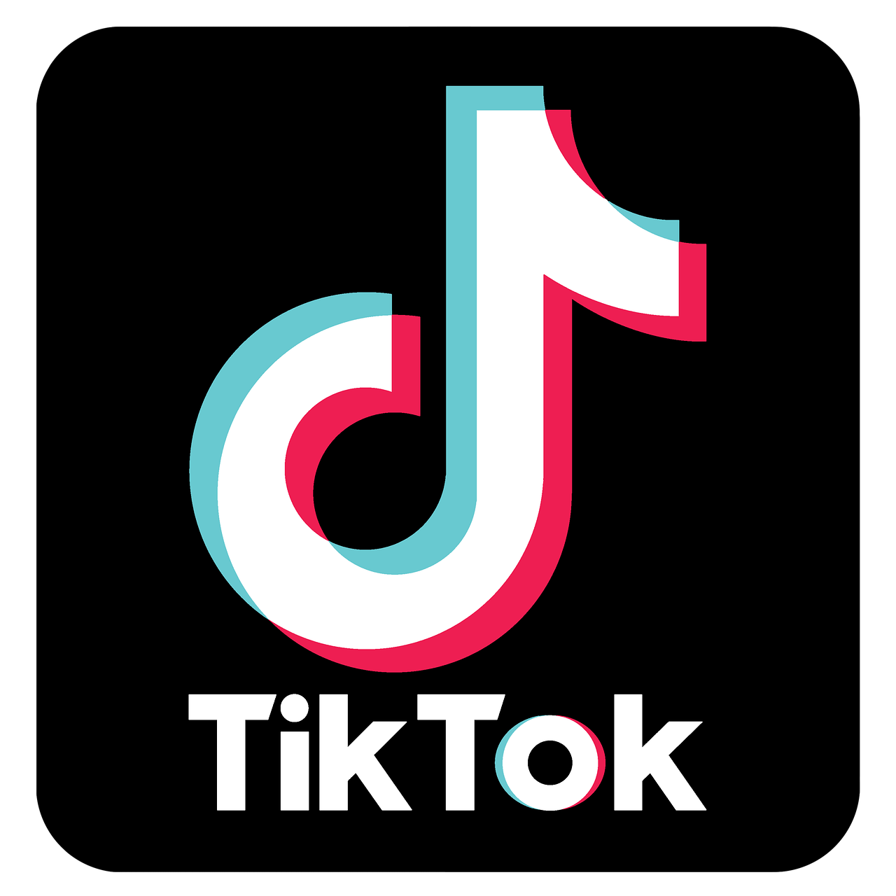 ↑TikTok↑